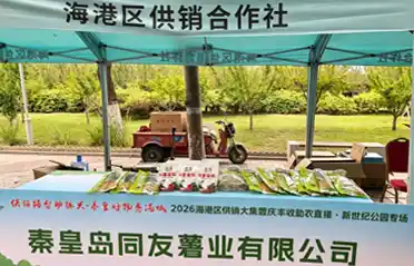 เบื่อแป้งมันเทศปั่นแล้วหรือยัง? เยี่ยมชม Tongyou ในงาน 2026 Fair